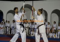 karate (71) (Αντιγραφή)